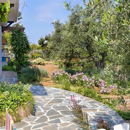 Eliva House Vakantiehuis *