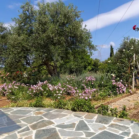 Eliva House Σπίτι διακοπών Χανιά