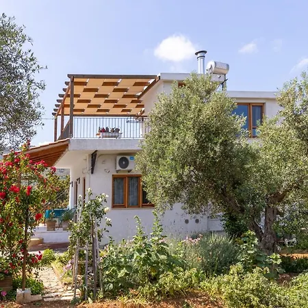 Eliva House *