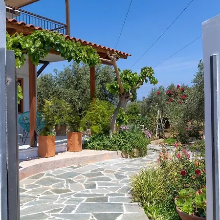 Vakantiehuis Eliva House