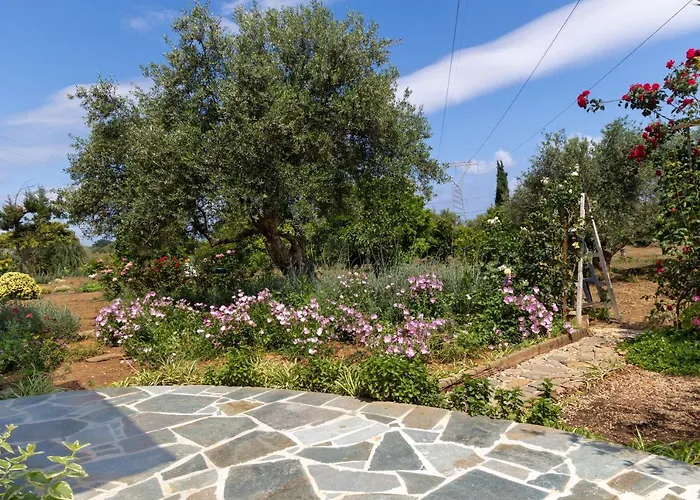 Eliva House Casa vacanze La Canea